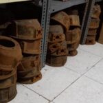 کاسه سگ دست پاژن v6 LR اصلی