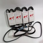 تسمه دینام پاژن v6 دانگیل کره