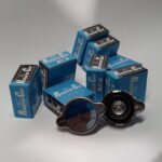 درب رادیاتور پاژن v6 کاپ ژاپن