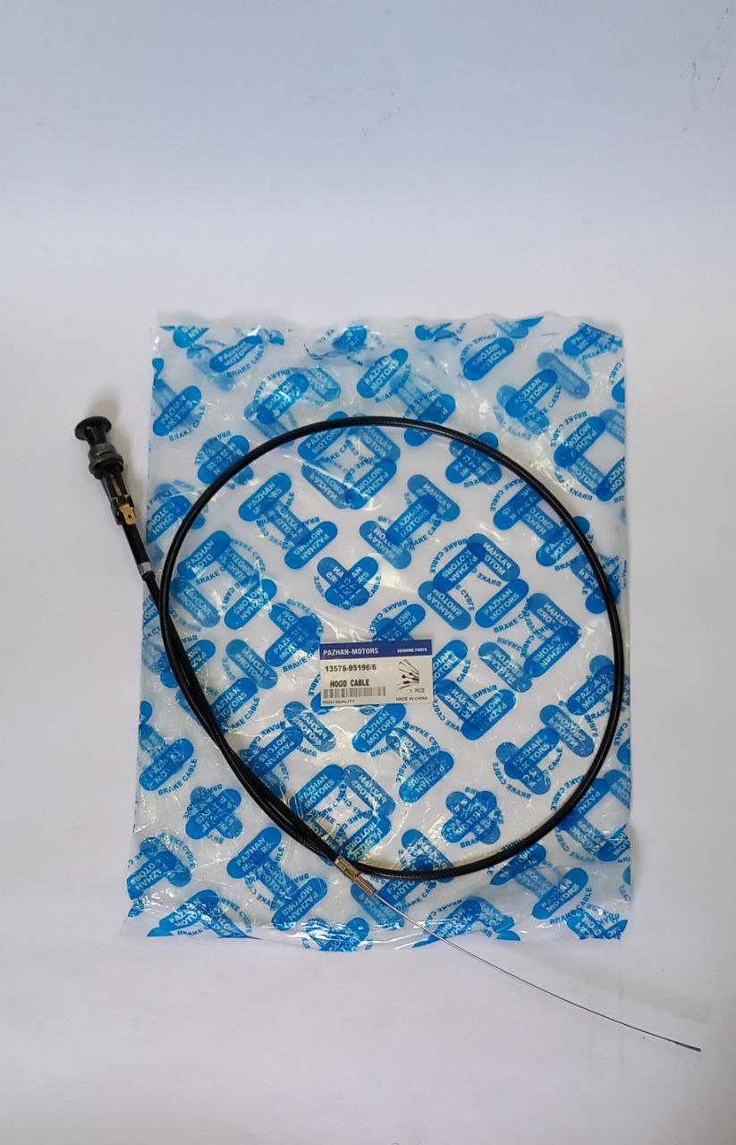 سیم ساسات پاژن سانتانا